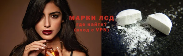 прущие грибы Сатка